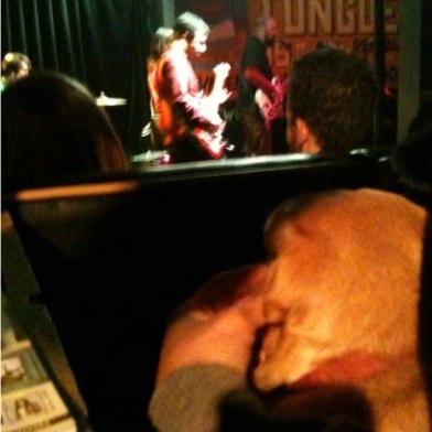 dogs_at_indie_rock_concerts.jpg