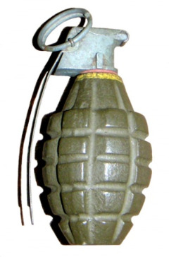 Contractor Finds Training Grenades in Noe Valley Home