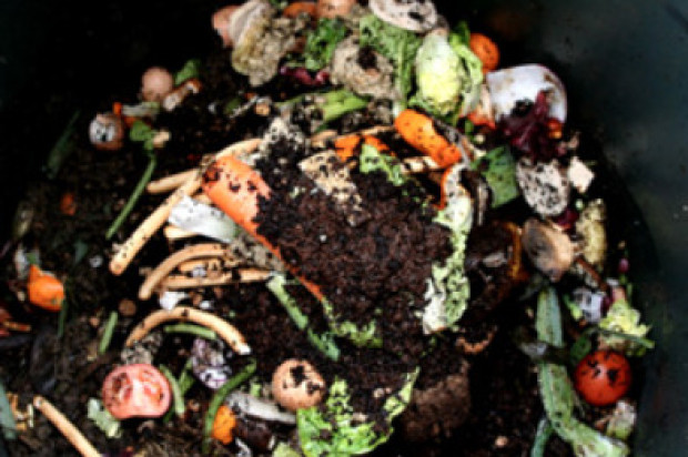 Get Up To 5 Gallons of Free Compost This Saturday