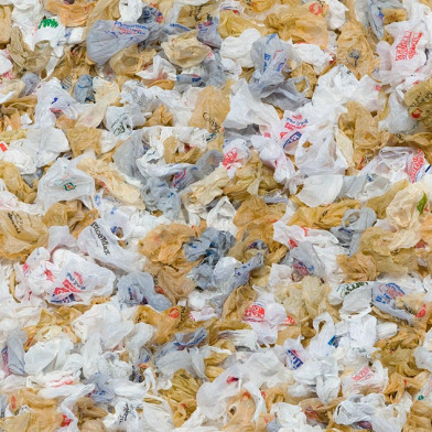 California Supreme Court Upholds San Francisco’s Plastic Bag Ban