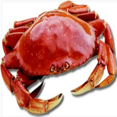 Recreational Crab Season Has Started, Commercial Season Will Begin Soon