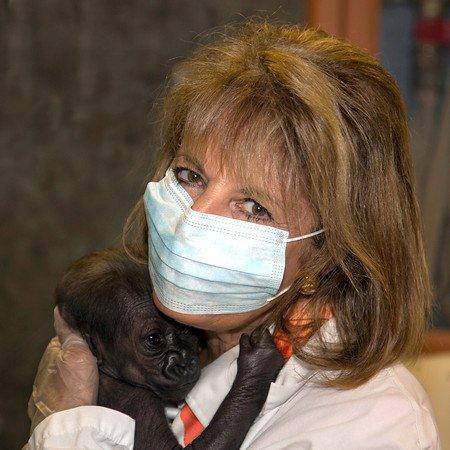 SF Zoo’s Baby Gorilla Has “A Little Accident” On US Representative Jackie Speier