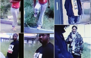 SFPD Seeking Suspects In Connection With SF-Set Dog Fighting Videos (Photos)