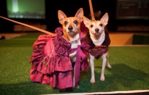 Haute Dog 3 is Happening Friday and It’s Going to Be Adorable