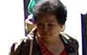 Chinese Woman Suspected of Running Blessing Scams Detained in New York