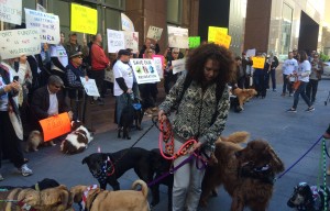 Dog Owners Protest Golden Gate National Recreational Area Management Plan