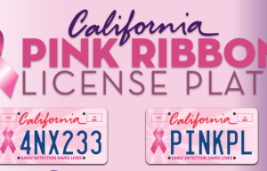 Breast Cancer Survivors, Supporters Kick Off Sales for Pink Ribbon License Plates