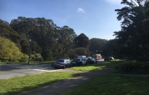 Body Found In Golden Gate Park This Morning
